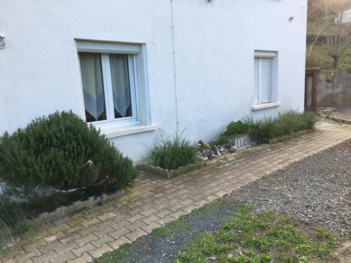 Appartement T1Bis Dans Un Mas Port Vendres Dış mekan fotoğraf